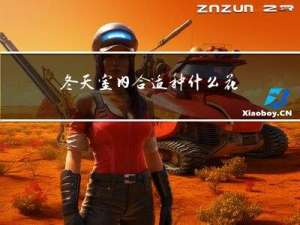 冬天室内合适种什么花卉