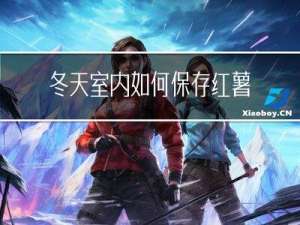 冬天室内如何保存红薯苗