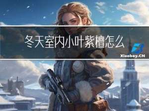 冬天室内小叶紫檀怎么保存