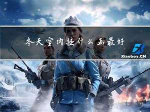 冬天室内挂什么画最好