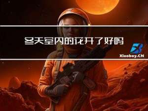 冬天室内的花开了好吗