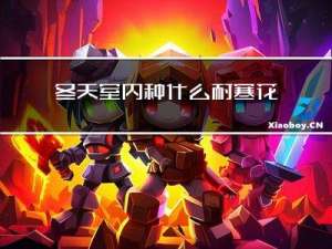 冬天室内种什么耐寒花草