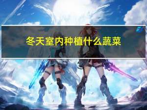 冬天室内种植什么蔬菜