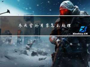 冬天室外月季怎么处理