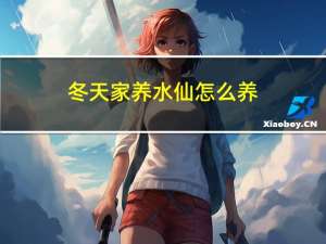 冬天家养水仙怎么养