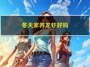 冬天家养龙虾好吗