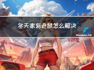冬天家有老鼠怎么解决