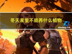 冬天家里不能养什么植物