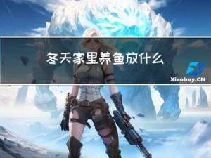 冬天家里养鱼放什么