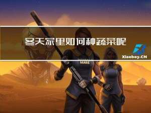 冬天家里如何种蔬菜呢