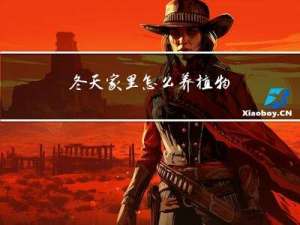 冬天家里怎么养植物