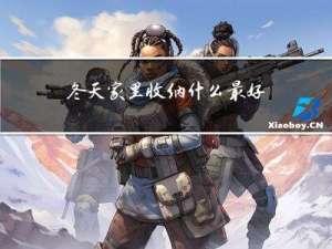 冬天家里收纳什么最好看
