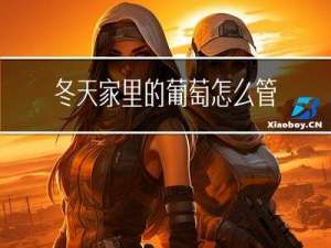 冬天家里的葡萄怎么管理