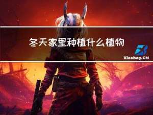 冬天家里种植什么植物