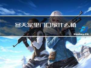 冬天家里门口放什么植物