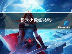 冬天小兔怕冷吗