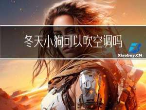 冬天小狗可以吹空调吗