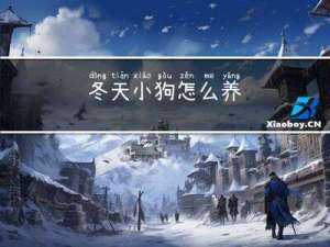 冬天小狗怎么养