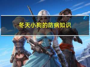 冬天小狗的防病知识