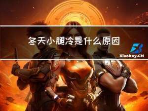 冬天小腿冷是什么原因