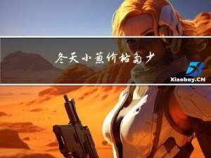 冬天小葱价格多少