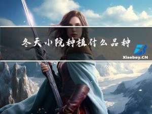 冬天小院种植什么品种好