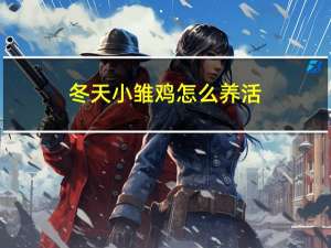 冬天小雏鸡怎么养活