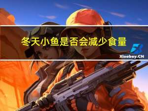 冬天小鱼是否会减少食量