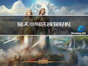 冬天小鸟送食物好吗