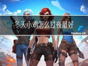 冬天小鸡怎么过夜最好