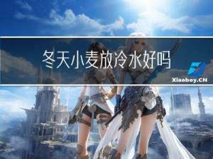 冬天小麦放冷水好吗