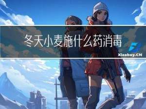 冬天小麦施什么药消毒