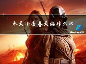 冬天小麦春天施什么肥