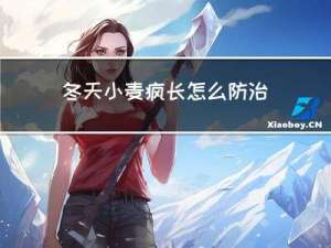 冬天小麦疯长怎么防治