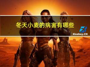 冬天小麦的病害有哪些