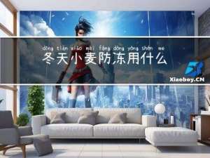 冬天小麦防冻用什么