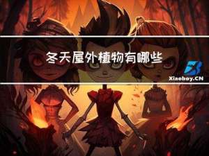 冬天屋外植物有哪些