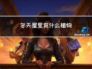 冬天屋里有什么植物