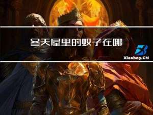 冬天屋里的蚊子在哪