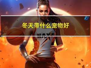 冬天带什么宠物好