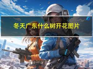 冬天广东什么树开花图片