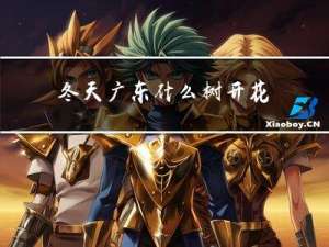 冬天广东什么树开花