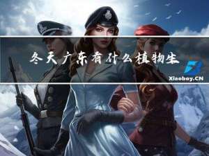 冬天广东有什么植物生长