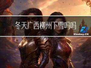 冬天广西柳州下雪吗吗