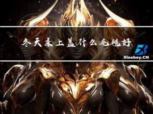 冬天床上盖什么毛毯好