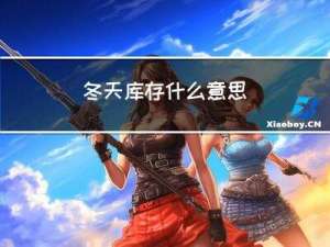 冬天库存什么意思