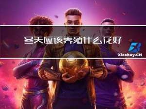 冬天应该养殖什么花好