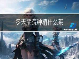 冬天庭院种植什么莱