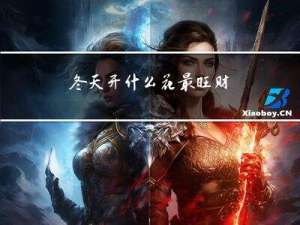 冬天开什么花最旺财