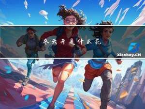 冬天开是什么花